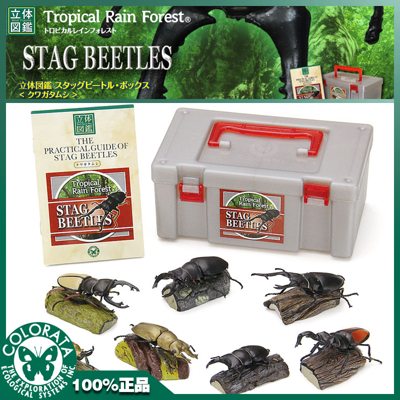 日本原装colorata蝴蝶社立体图鉴