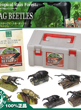 日本原装COLORATA蝴蝶社立体图鉴儿童认知970812昆虫爬虫甲虫模型