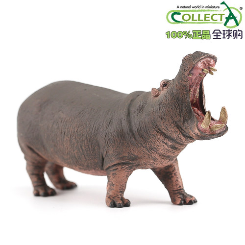 英国collecta我你他河马野生动物