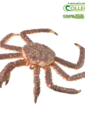 英国CollectA我你他原装正版仿真海洋玩具88851帝王蟹2019新款