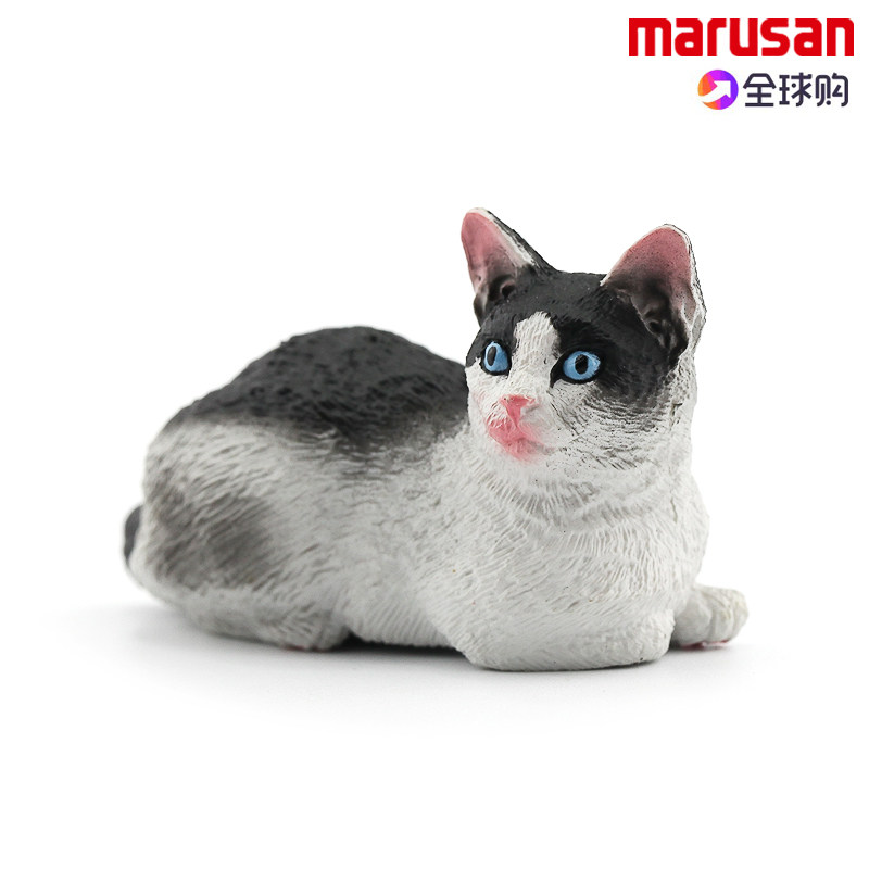 日本marusan仿真动物模型玩具 农场猫狗系列喵星人 日本短尾猫