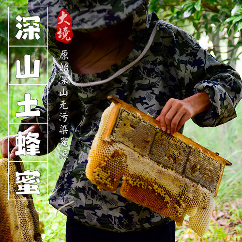 【蜂农直供】九龙藤蜜 广西深山野生土蜂蜜 新鲜现取野生原蜜2斤