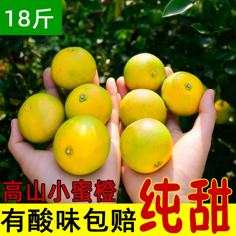 A级广西桂林蜜香橙蜂蜜橙树上熟整箱 纯甜橙子冰糖橙年货新鲜水果,水产肉类/新鲜蔬果/熟食,橙,淘宝优惠券,粉丝福利购,淘宝优惠卷