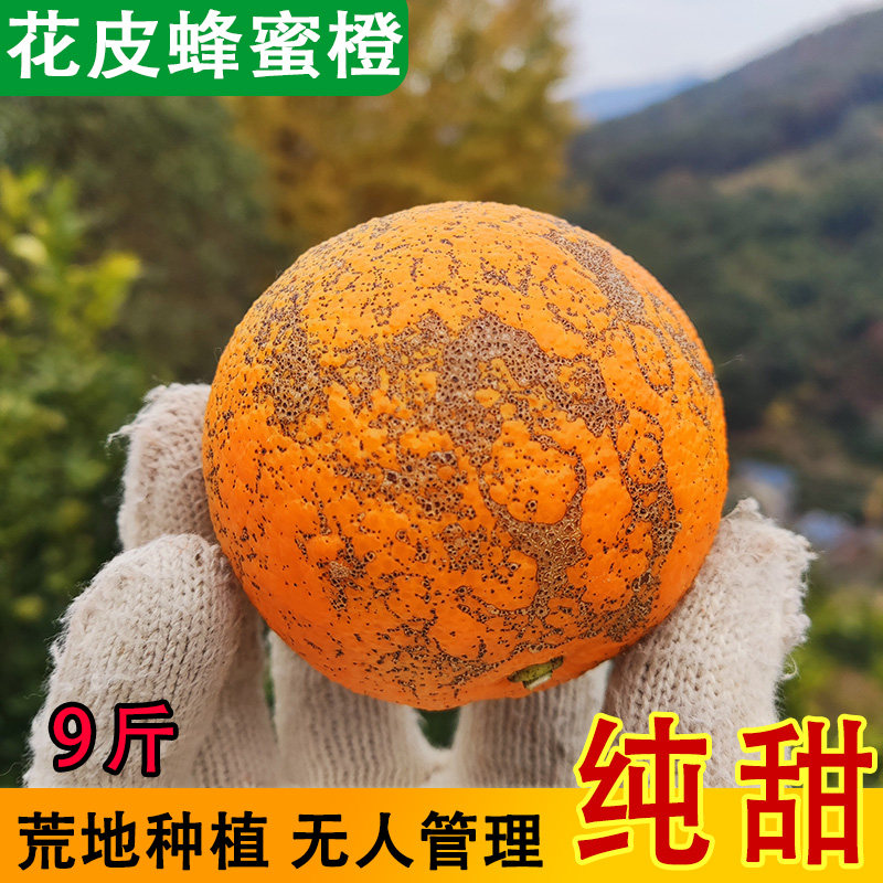 花皮蜂蜜橙 丑橙榨汁专用 桂林蜜香橙冰糖橙花斑橙子年货新鲜水果,水产肉类/新鲜蔬果/熟食,橙,淘宝优惠券,粉丝福利购,淘宝优惠卷