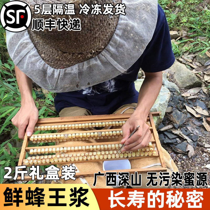 广西深山无污染蜂场鲜蜂王浆 天然纯正蜂皇浆 2斤礼盒装顺丰包邮