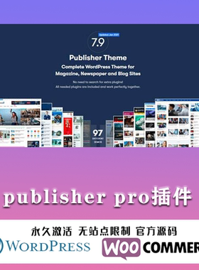 Publisher Pro 汉化中文版 杂志报纸博客多合一WordPress主题