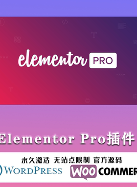 Elementor Pro汉化中文版可视化编辑页面自定义设计WordPress插件