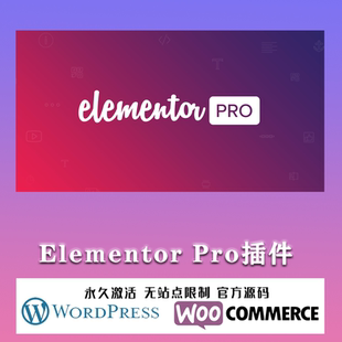 Elementor Pro汉化中文版可视化编辑页面自定义设计WordPress插件