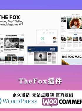 TheFox 汉化中文版 多功能响应式专业WordPress企业主题模板