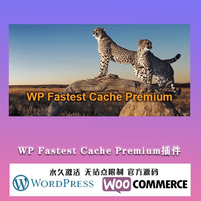 WP Fastest Cache Premium WordPress 生成静态缓存加速优化插件