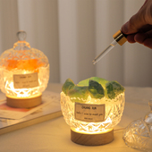 香薰精油扩香石持久无火熏香家用室内晶石摆件助睡眠卧室房间香氛