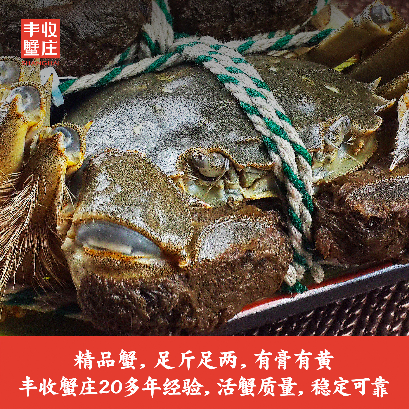 丰收蟹庄全雌蟹8只2.5两