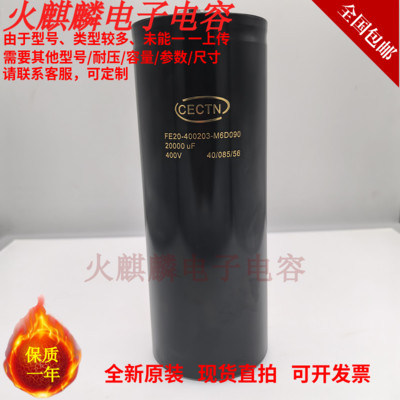 FE20-400203-M6D090电容