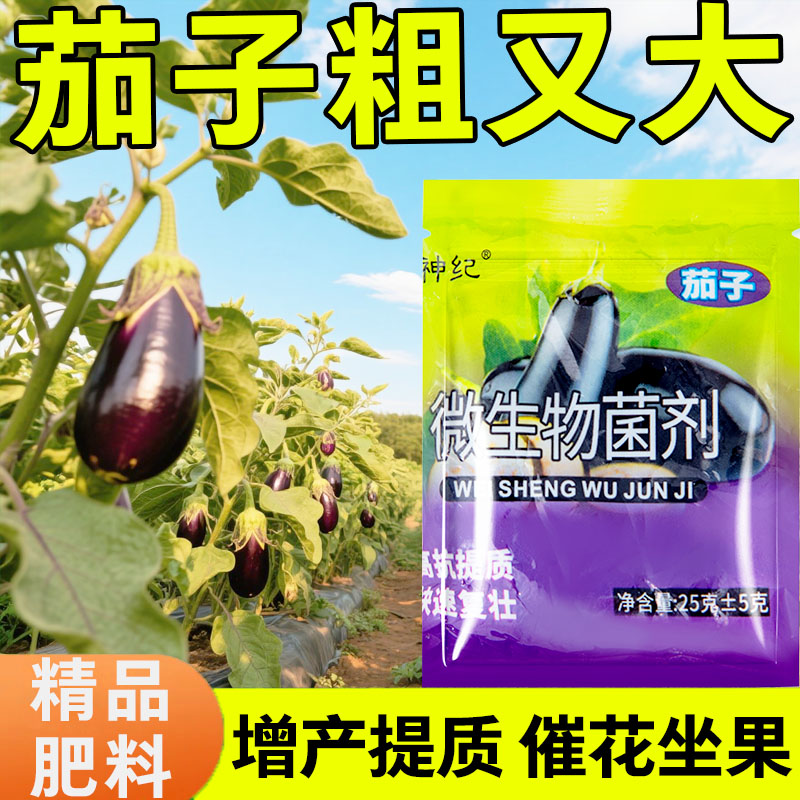茄子病菌清復合微生物菌