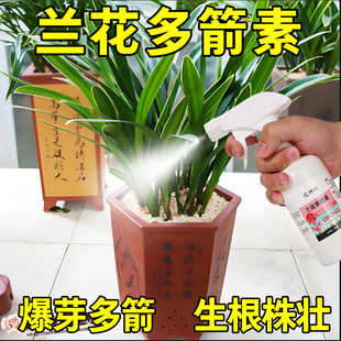 兰花多箭素爆芽素专用营养液蝴蝶兰多剑王兰灵王通用促开花肥料