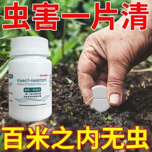 园艺防虫片菜地药无毒园林土壤剂菜园植物小白专用驱虫片
