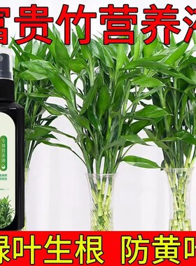【专治黄叶】富贵竹专用营养液叶子发黄生根绿水绿叶植物稀释专用