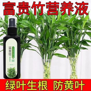 【专治黄叶】富贵竹专用营养液叶子发黄生根绿水绿叶植物稀释专用