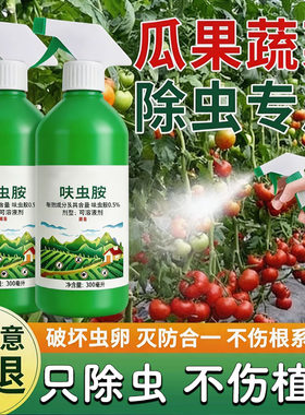 小黑飞杀虫剂家用专杀花盆室
