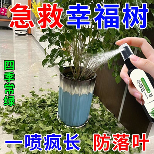 幸福樹專用營養液治枯葉掉葉室內盆栽綠植防黃葉爛根有機專用肥料