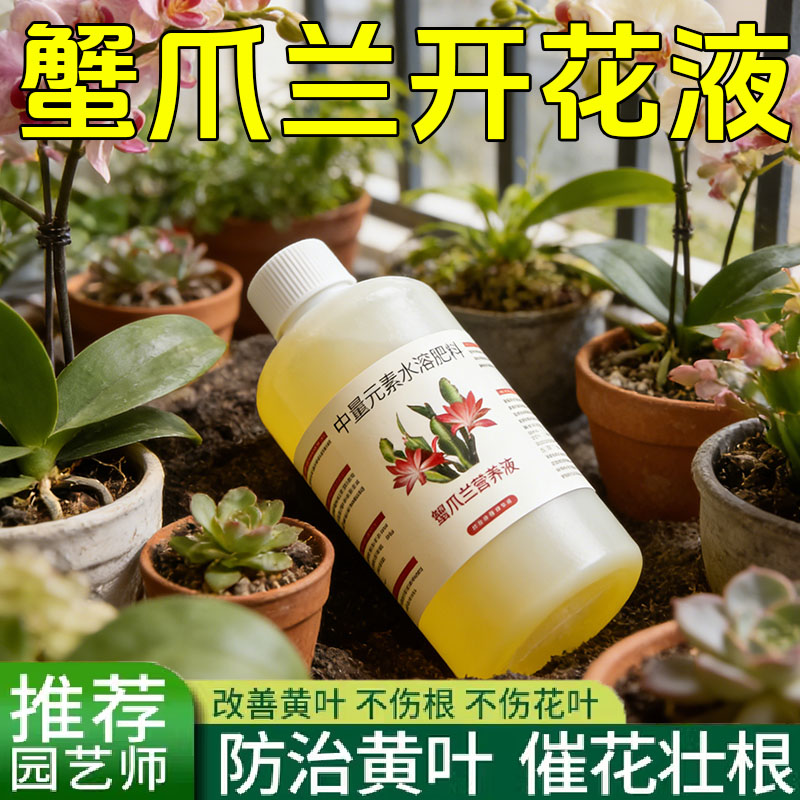 蟹爪兰专用营养液专用肥
