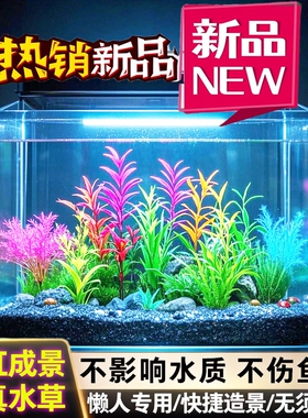鱼缸造景水草植物装饰摆件配件大全假草仿真草套餐水族箱布景假花