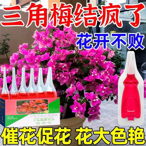 三角梅植物再生剂免稀释营养液