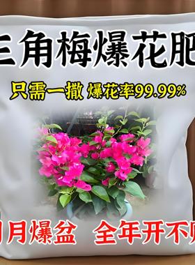 三角梅催花开花粉促芽剂光杆快速发芽治黄叶落叶枯萎壮根助长肥料
