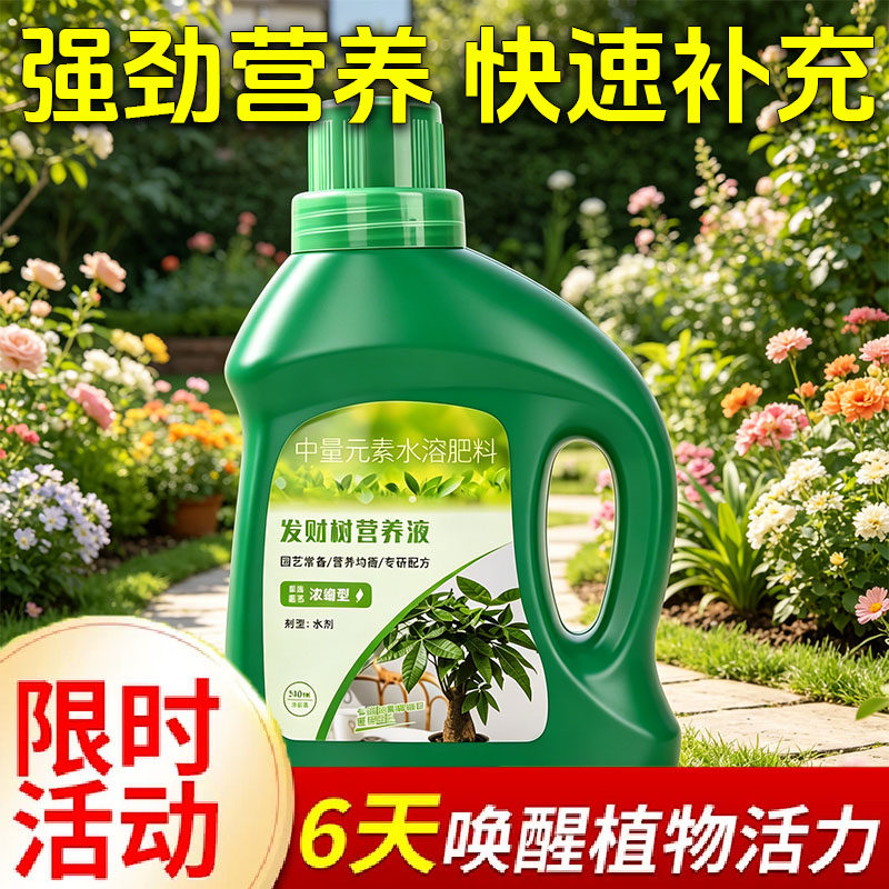 500ml浓缩营养液植物通用型绿萝富贵竹发财树多肉水培养花卉绿植