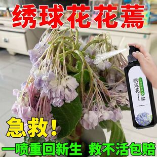 家用盆栽绣球花专用营养液促生长长新芽催花开延长花期花增艳喷施