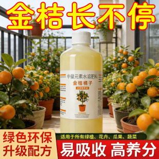 桔子树专用肥橘子树肥料金桔树柑橘复合缓释沃柑果树盆栽的营养液
