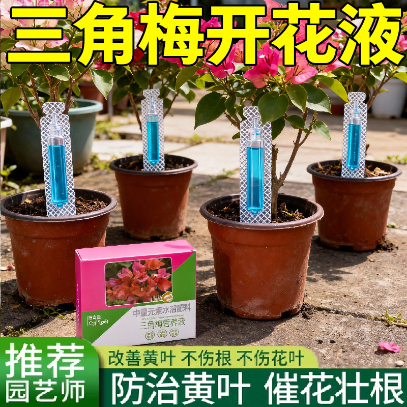 三角梅速效开花素植物营养液免稀释通用促茶花开花卉专用肥催花素,鲜花速递/花卉仿真/绿植园艺,介质/营养土,淘宝优惠券,粉丝福利购,淘宝优惠卷