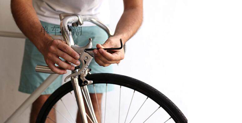 Poignées de vélo - Ref 2339057 Image 5