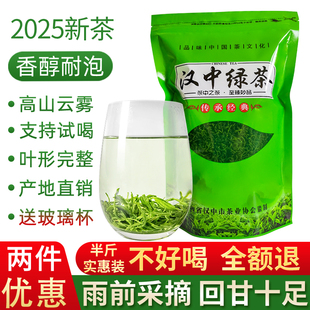 2025新茶叶雨前毛峰陕西汉中炒青绿茶陕南特炒高山陕青口粮茶耐泡