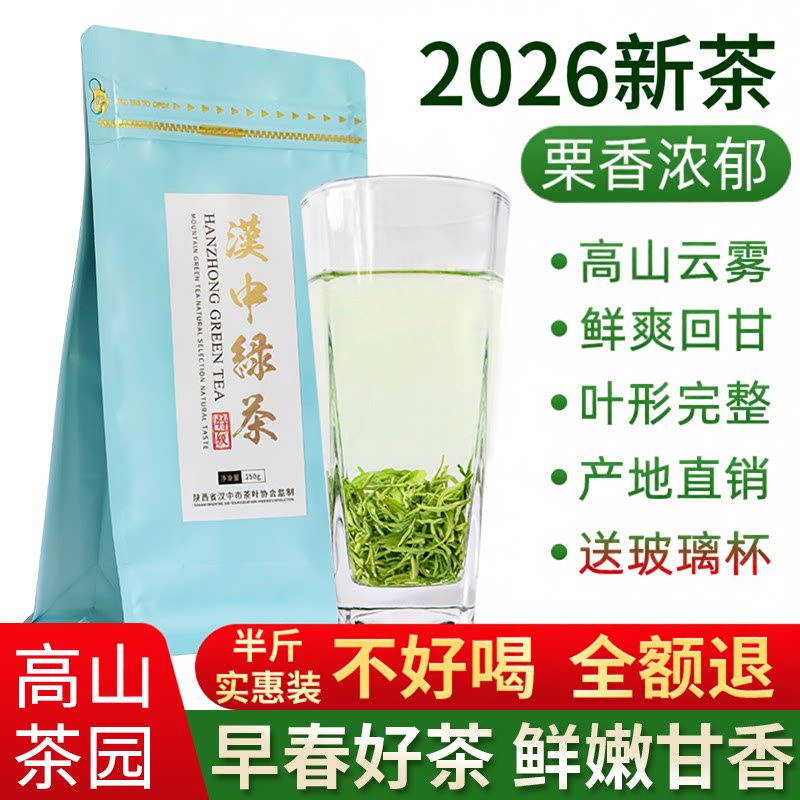 2026明前新茶陕南高山云雾毛峰茶叶陕西汉中毛尖炒青绿茶耐泡特级