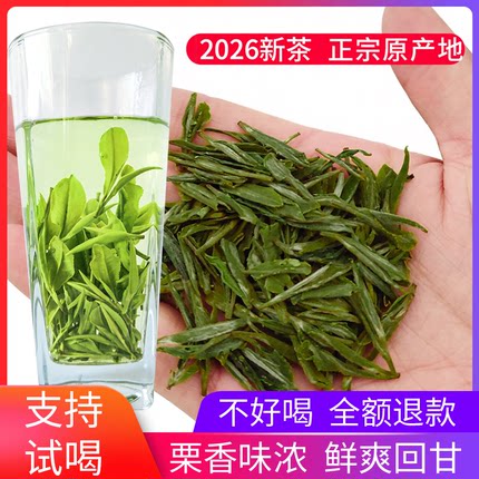 2026新茶雨前春茶汉中仙毫黄云翠竹高山云雾绿茶陕西西乡炒青茶叶