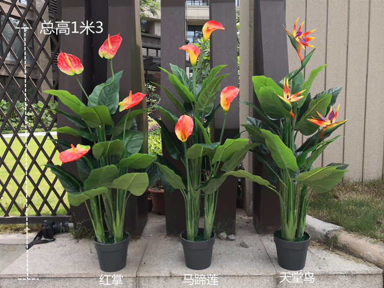 仿真树假树仿真大型绿植天堂鸟红掌马蹄莲婚庆家居摆放仿真花卉