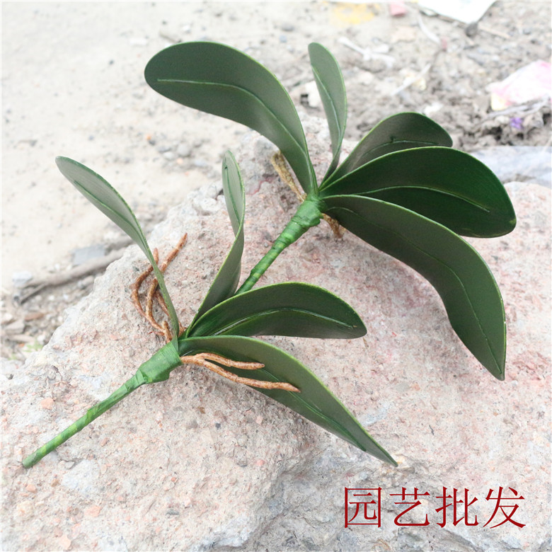 仿真花泡沫绿色植物蝴蝶兰