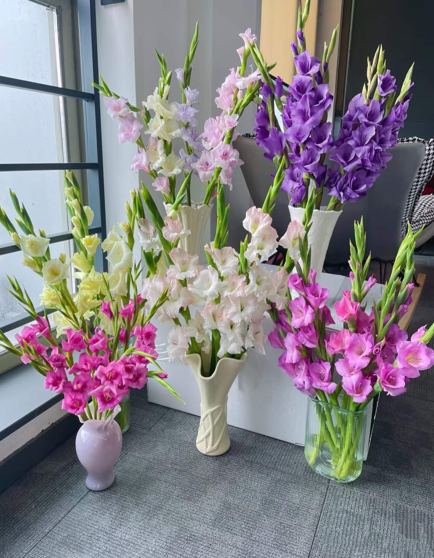 剑兰花鲜花鲜切花插花客厅装饰花