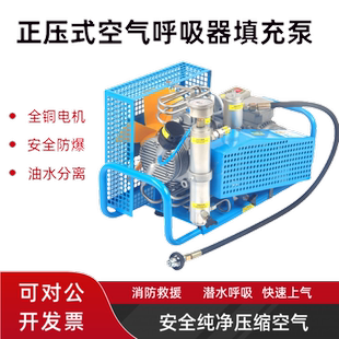 高压充气泵正压式消防呼吸器碳纤维气瓶钢瓶空气压缩机30mpa气泵