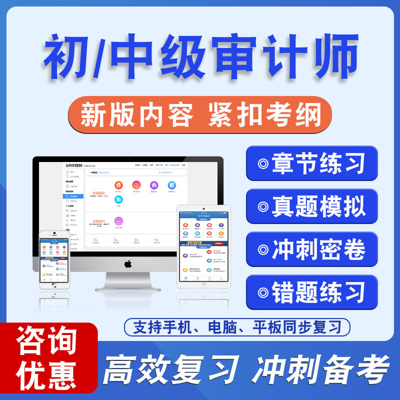 2025年初/中级审计师题库