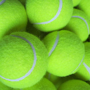 网球初学者高弹性耐打训练球拍耐磨初中级比赛球按摩宠物球