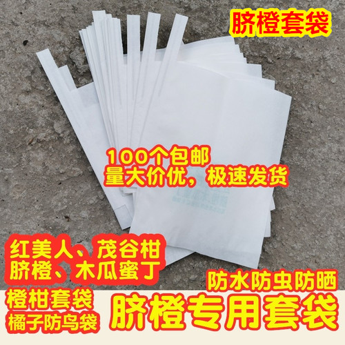 不知火春见爱媛红美人茂谷柑枇杷