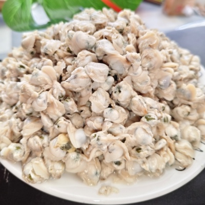 淡水黄沙蚬淮河特产新鲜溪蚬子肉黄蚬子肉新鲜河流河蚬子肉