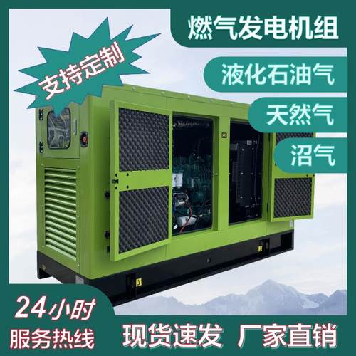 潍坊厂家供应潍柴康明斯20kW/30kW/40kW/50kW燃气发电机组