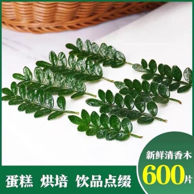 清香蛋糕甜品饮品叶子西餐烘焙烘培装饰摆盘日料点缀新鲜花草胡椒