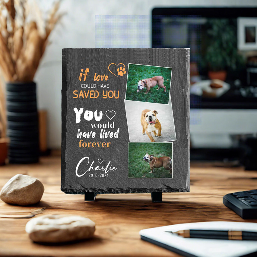 宠物纪念石头雕像照片摆件圆形方形爱心形墓碑小狗猫咪离世留念