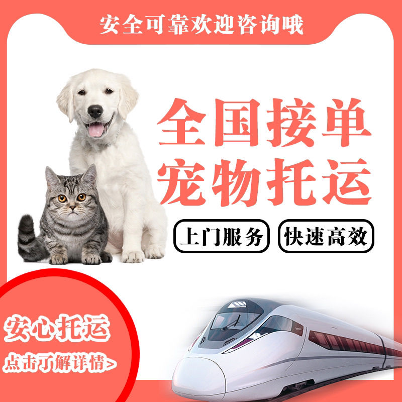 宠物托运服务全国顺风车全国运输航空箱