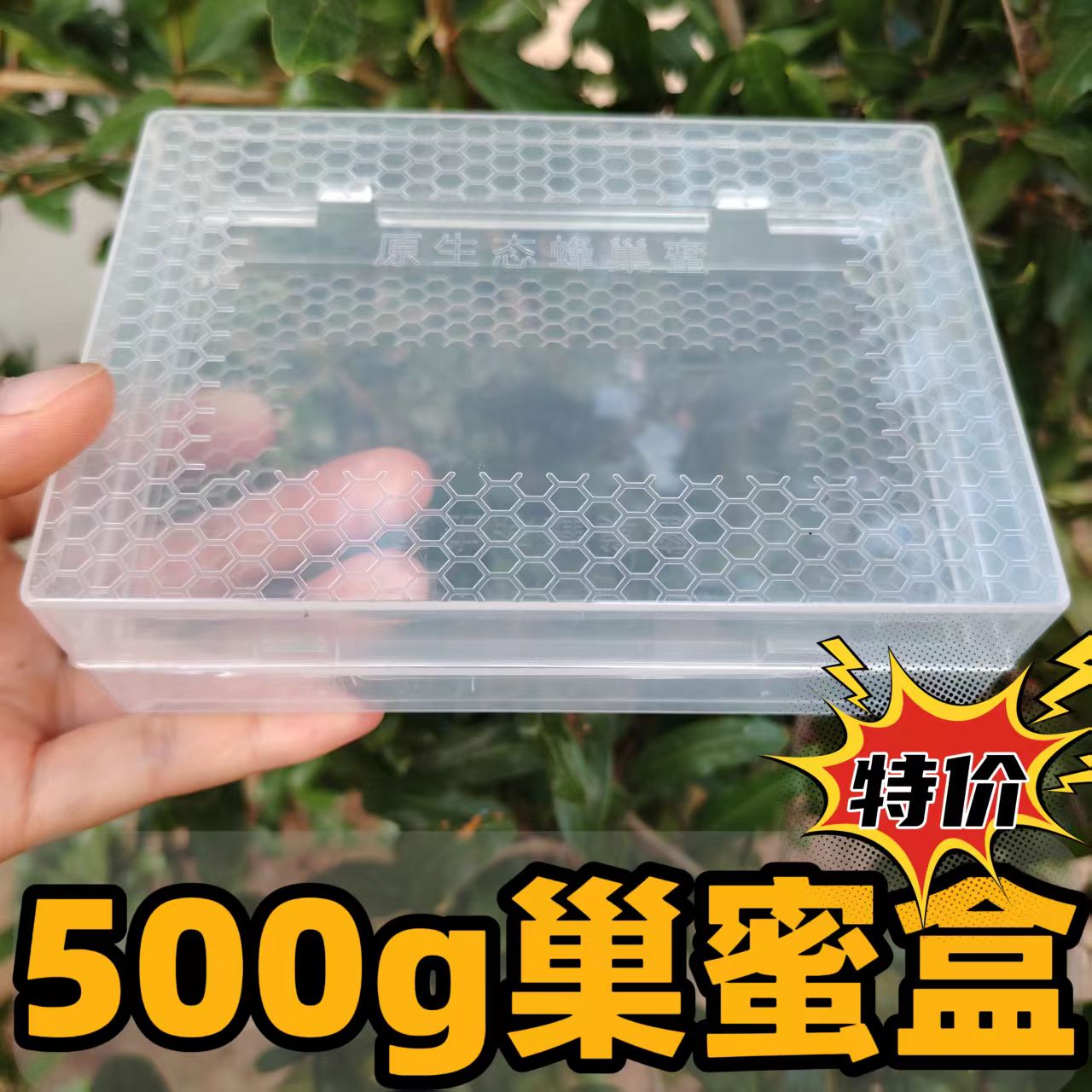 巢蜜盒框架塑料巢蜜格巢蜜框中蜂意蜂巢蜜全套餐蜂500g透明盒包邮