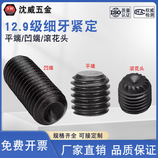 12.9级细牙平端凹端紧定螺丝GB77无头内六角螺钉机米止付M16 M27